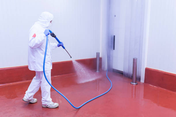 Best Sign and Awning Cleaning  in Hayneville, AL