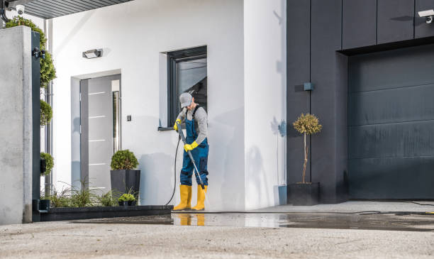 Best Solar Panel Cleaning  in Hayneville, AL